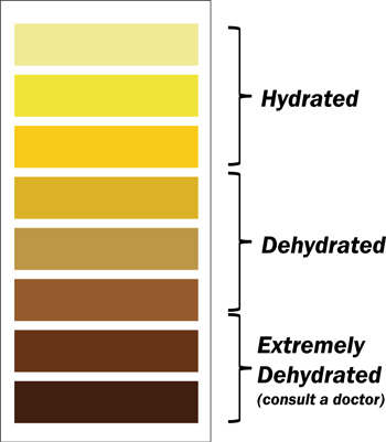 Urine Chart